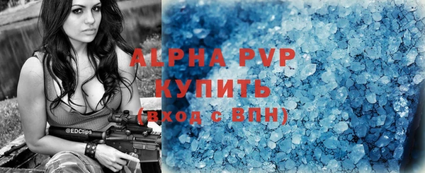 ешки Ладушкин
