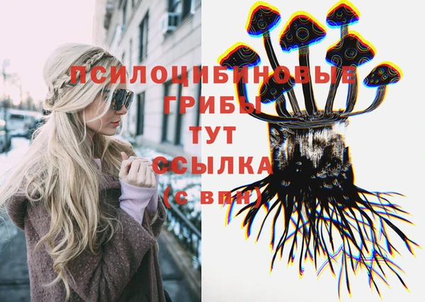 apvp Лабытнанги