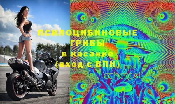 мяу мяу мука Лагань