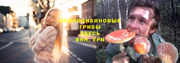 apvp Лабытнанги