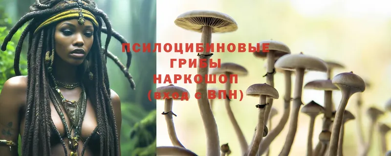 Псилоцибиновые грибы Magic Shrooms Неман