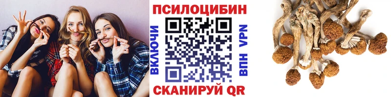 Галлюциногенные грибы Psilocybine cubensis  Неман 